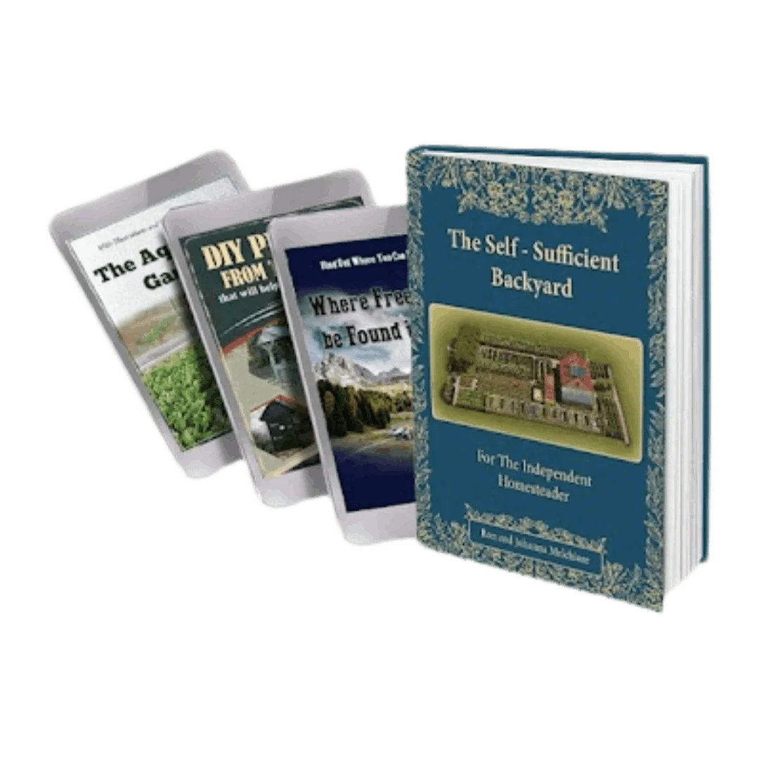 Self-Sufficient Backyard